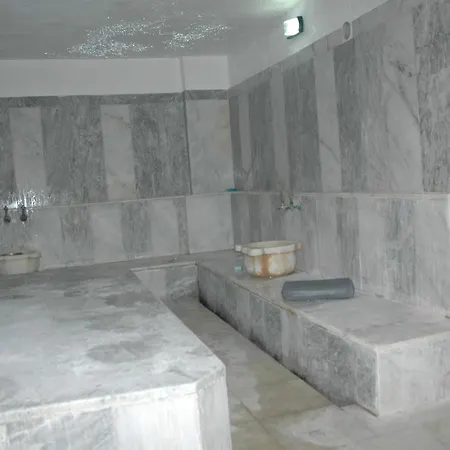 Отель Arora