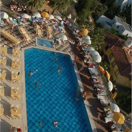Arora 4*