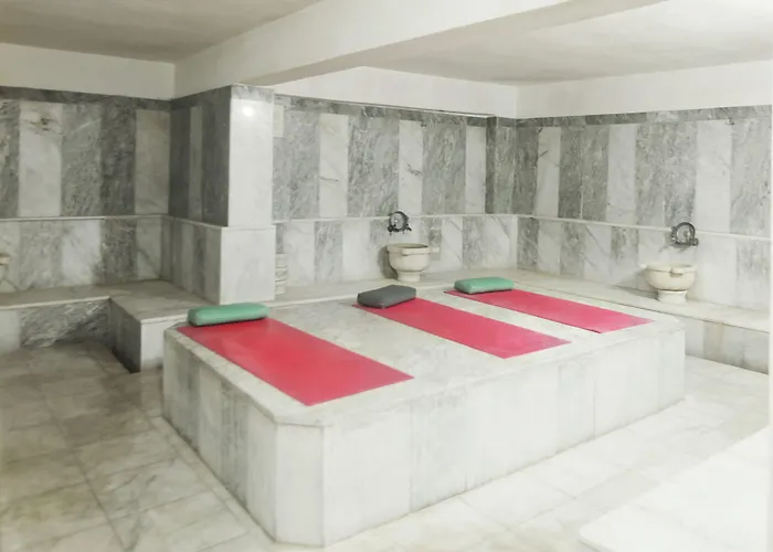 Hotel Arora 4*