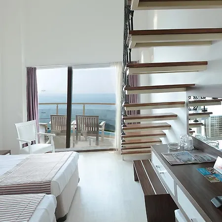 Hotel Arora 4*
